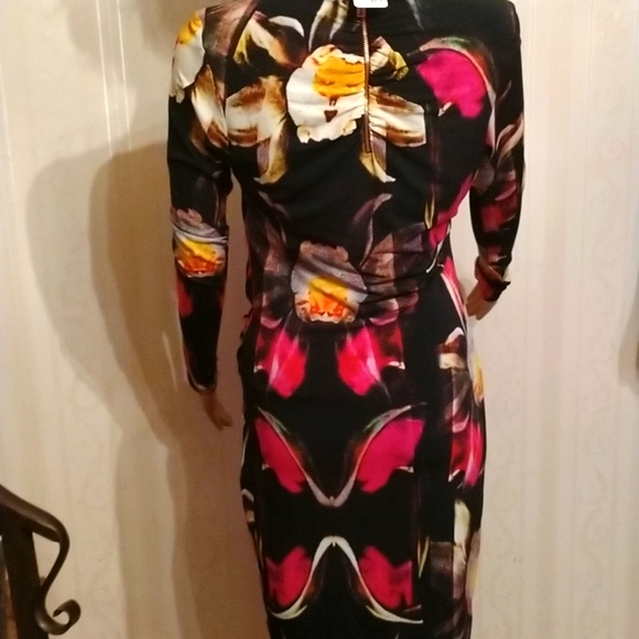 - 🌺Gorgeous Ted Baker fitted fully lined size 2 exquisite dress never worn 🌸 - Picture 7 of 9